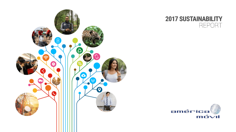 Informe 2017